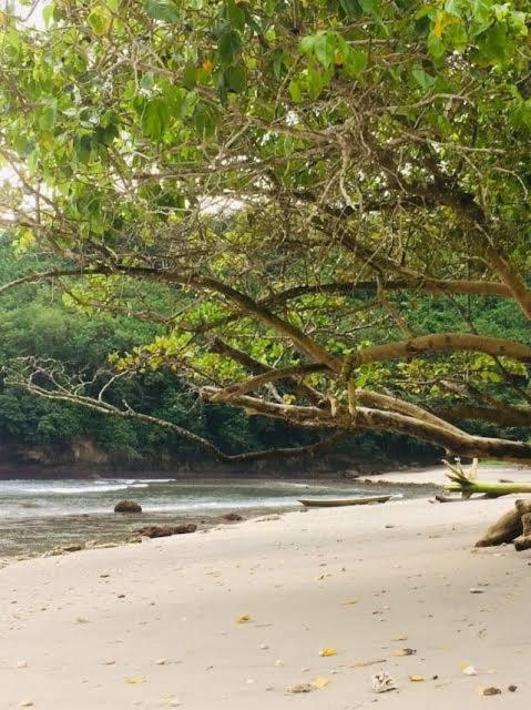 Готель Sakti Oceanview Nusa Penida Toyapakeh Екстер'єр фото